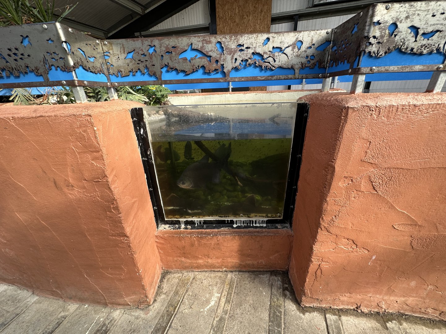 Tropical House Fish Tank at Johnsons of Old Hurst (October 2023)