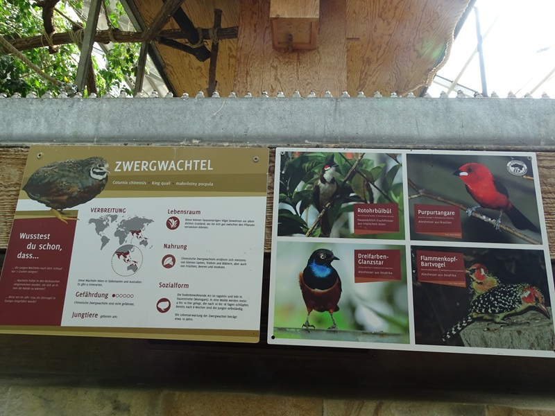 Tropical House - Free-roamer signage