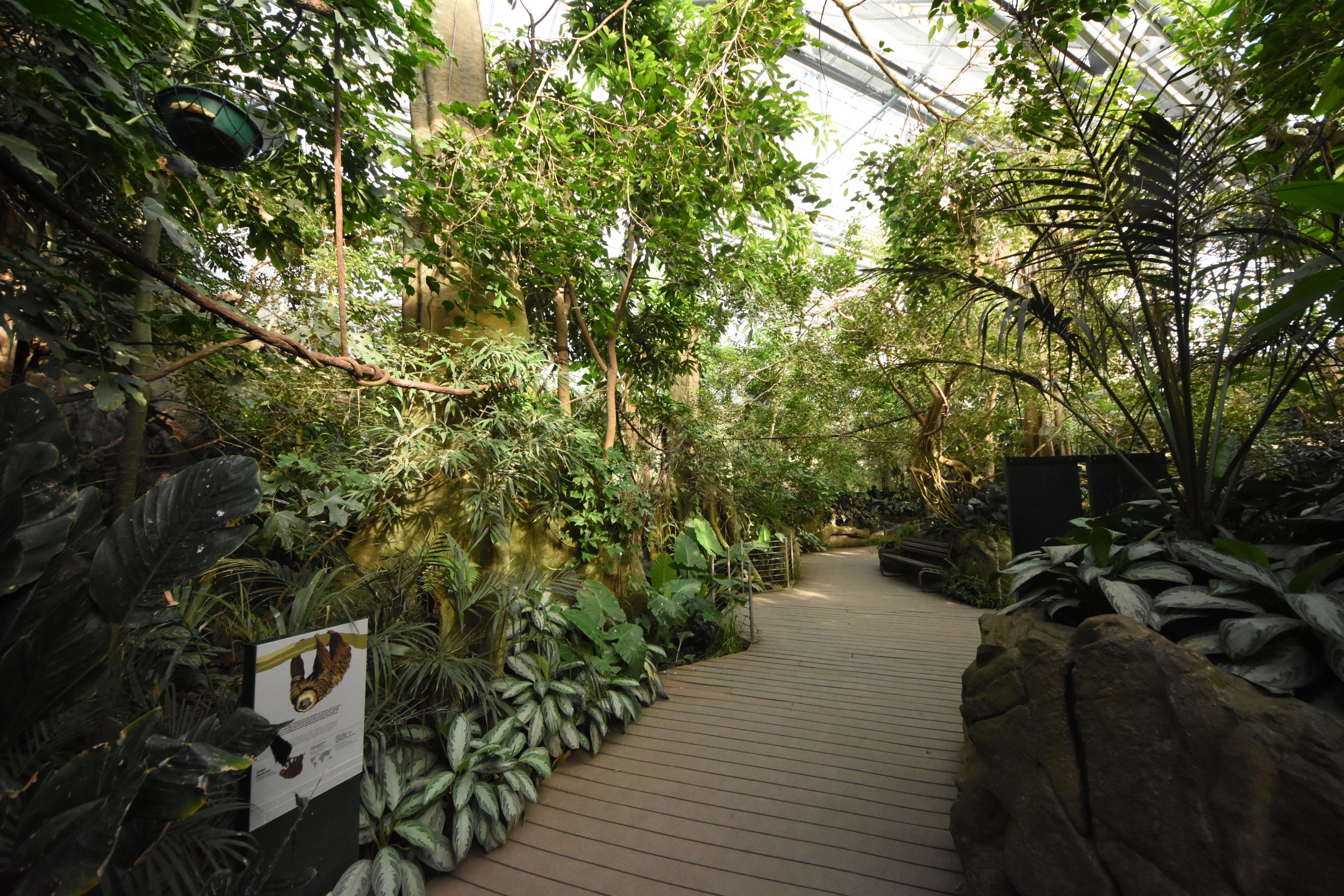 Tropical house - Freeflight