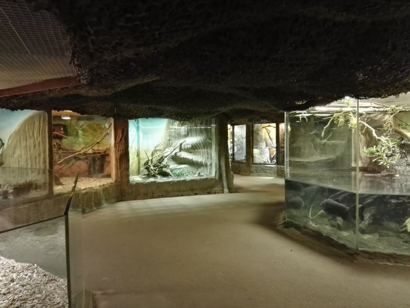 Tropical house - general view