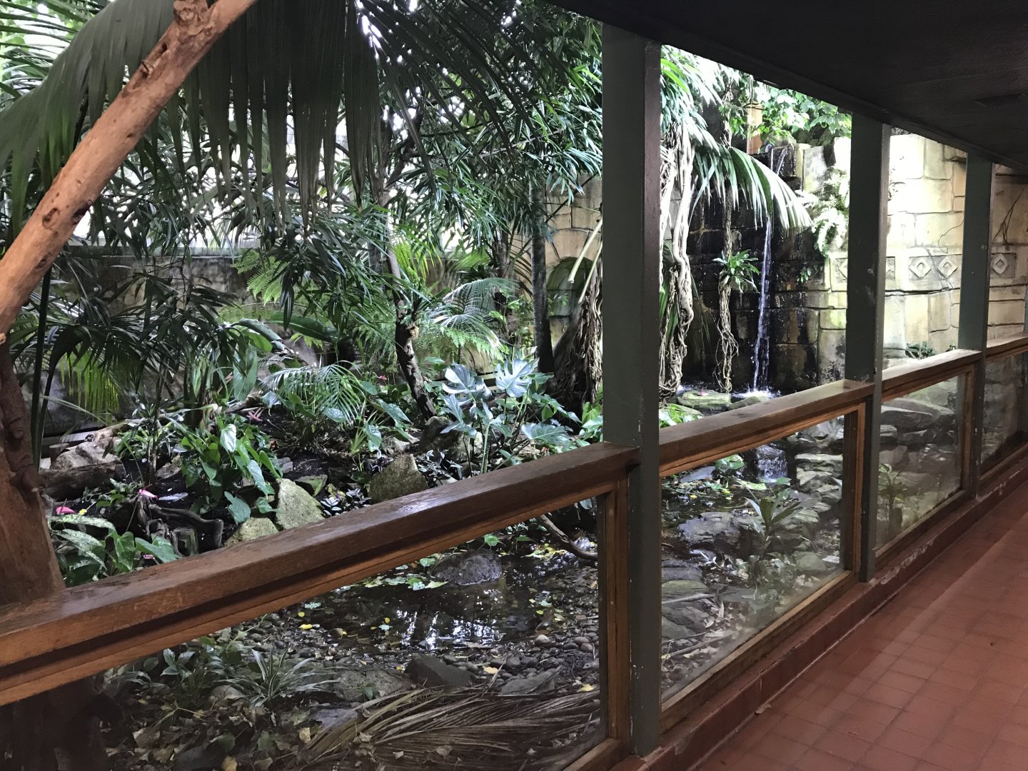 Tropical House - ground floor 081018