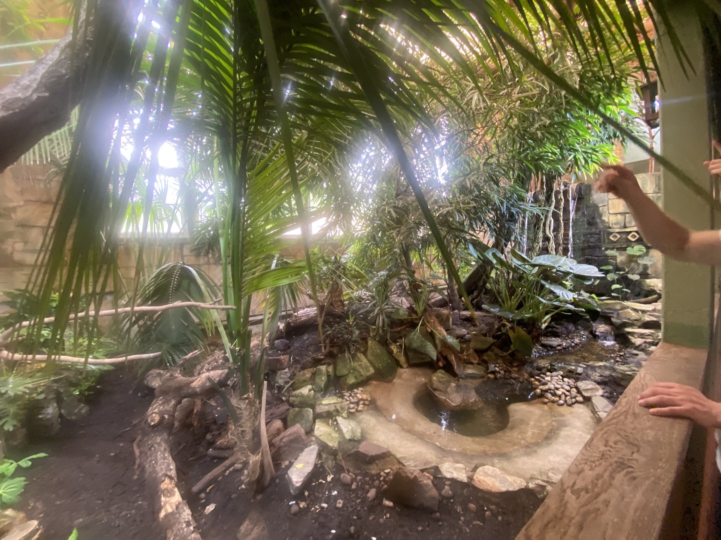 Tropical House ground floor view 060523