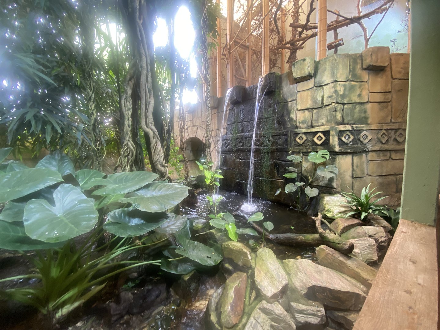 Tropical House ground floor view 060523