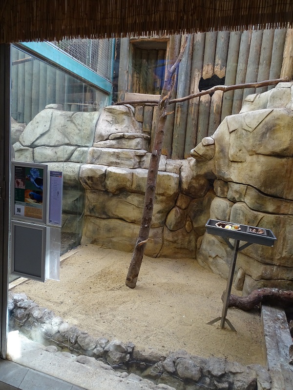 Tropical House; hyacinth macaw enclosure (04/23)