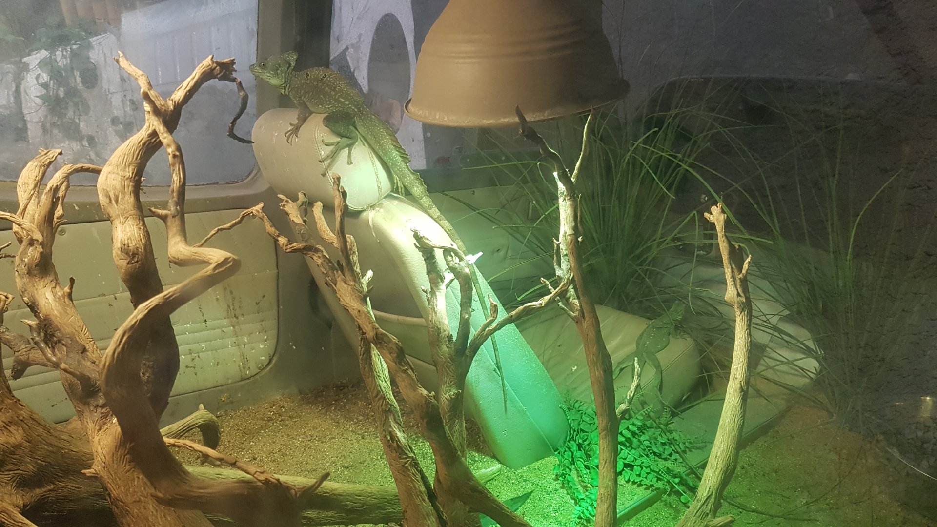 Tropical house - inside airplane