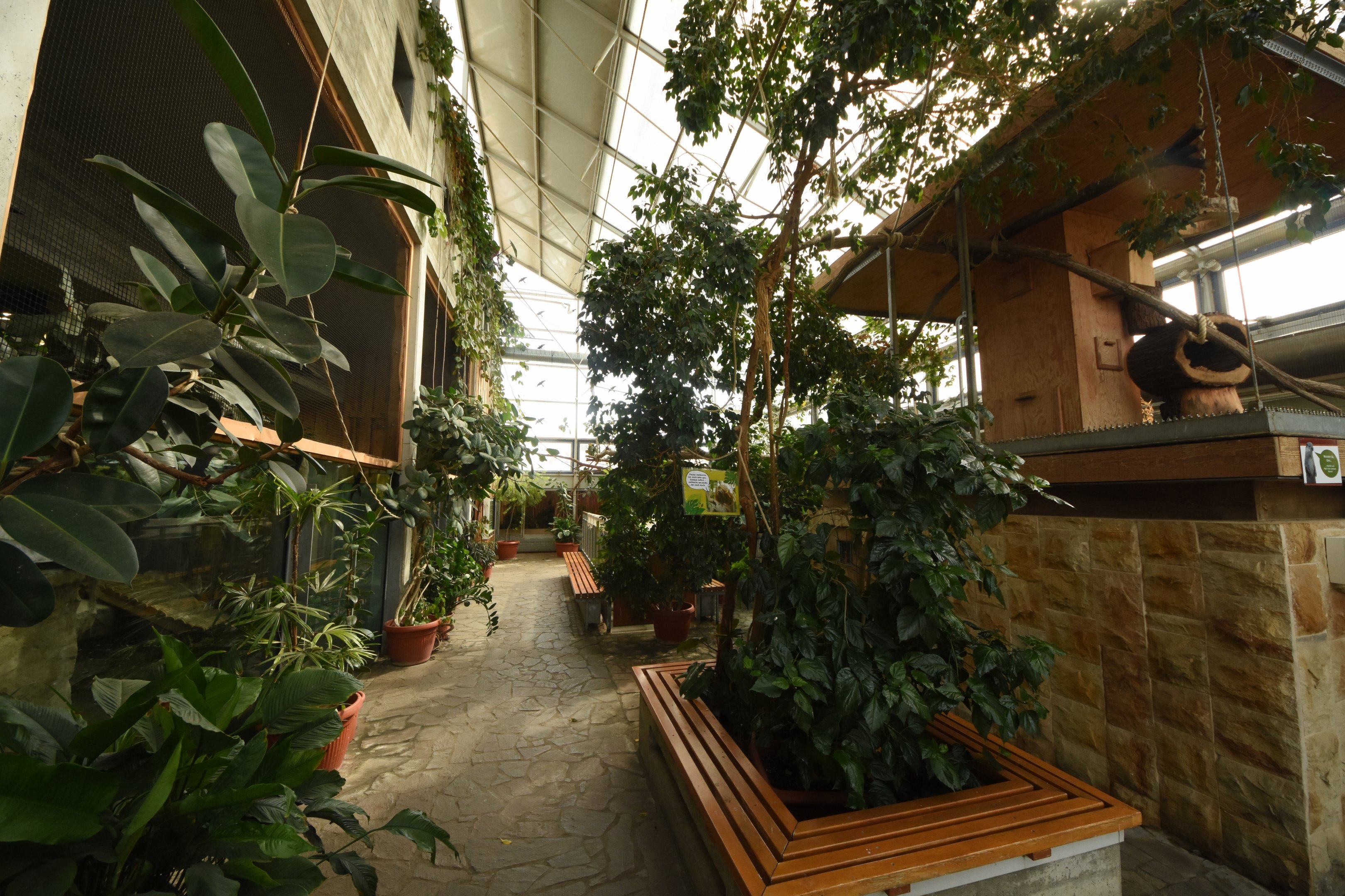 Tropical house - Inside view