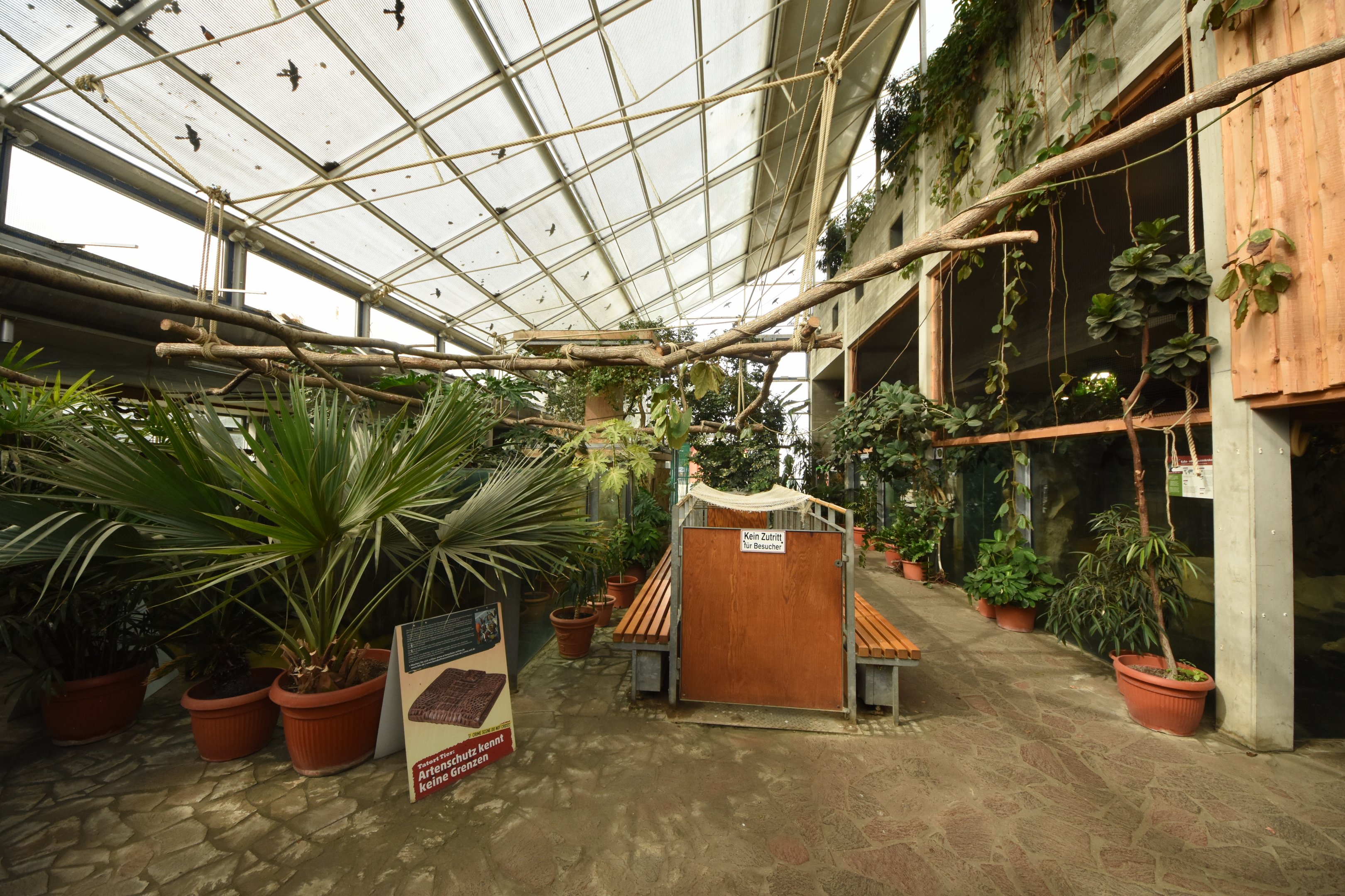 Tropical house - inside view