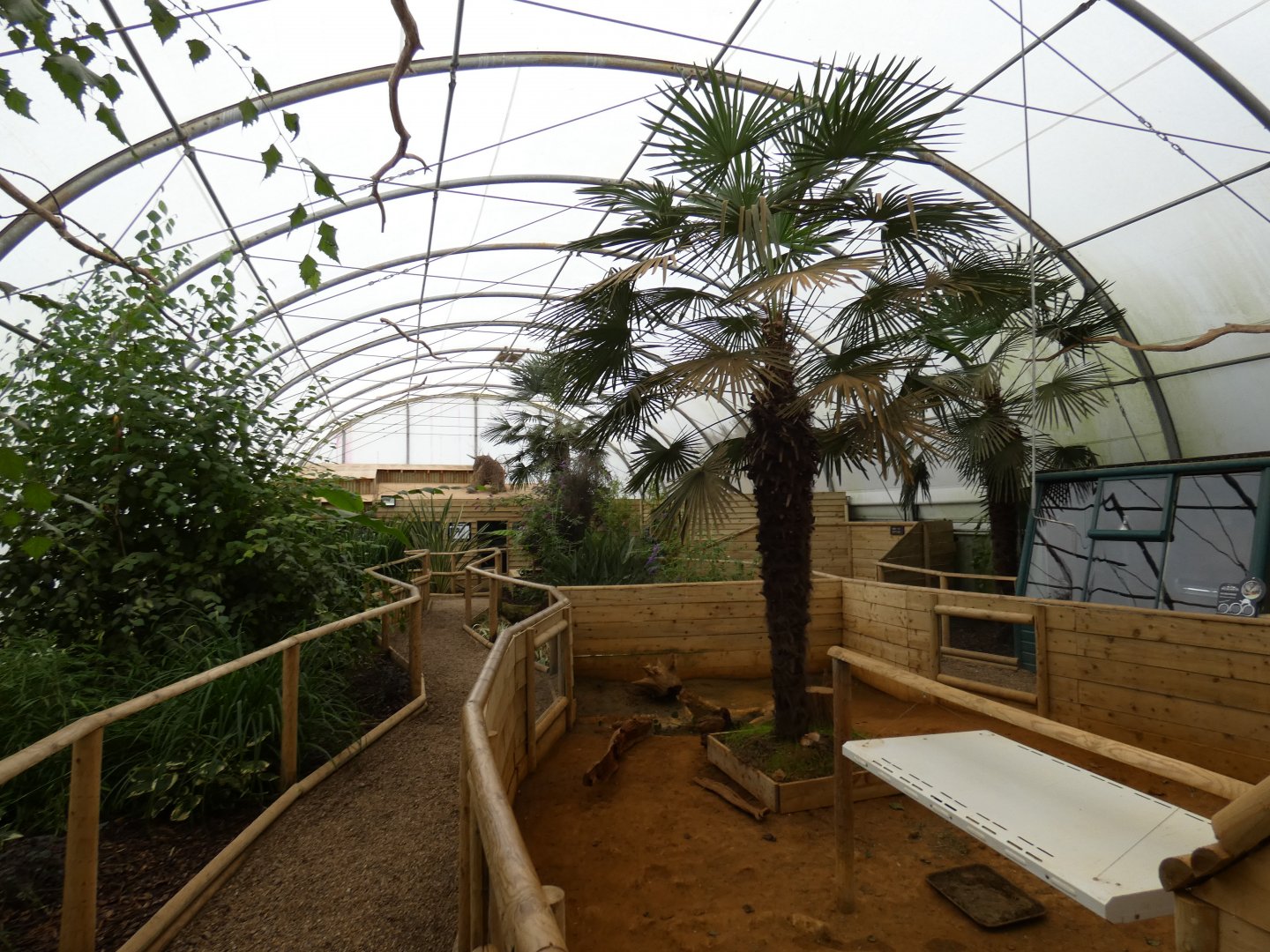 Tropical house inside