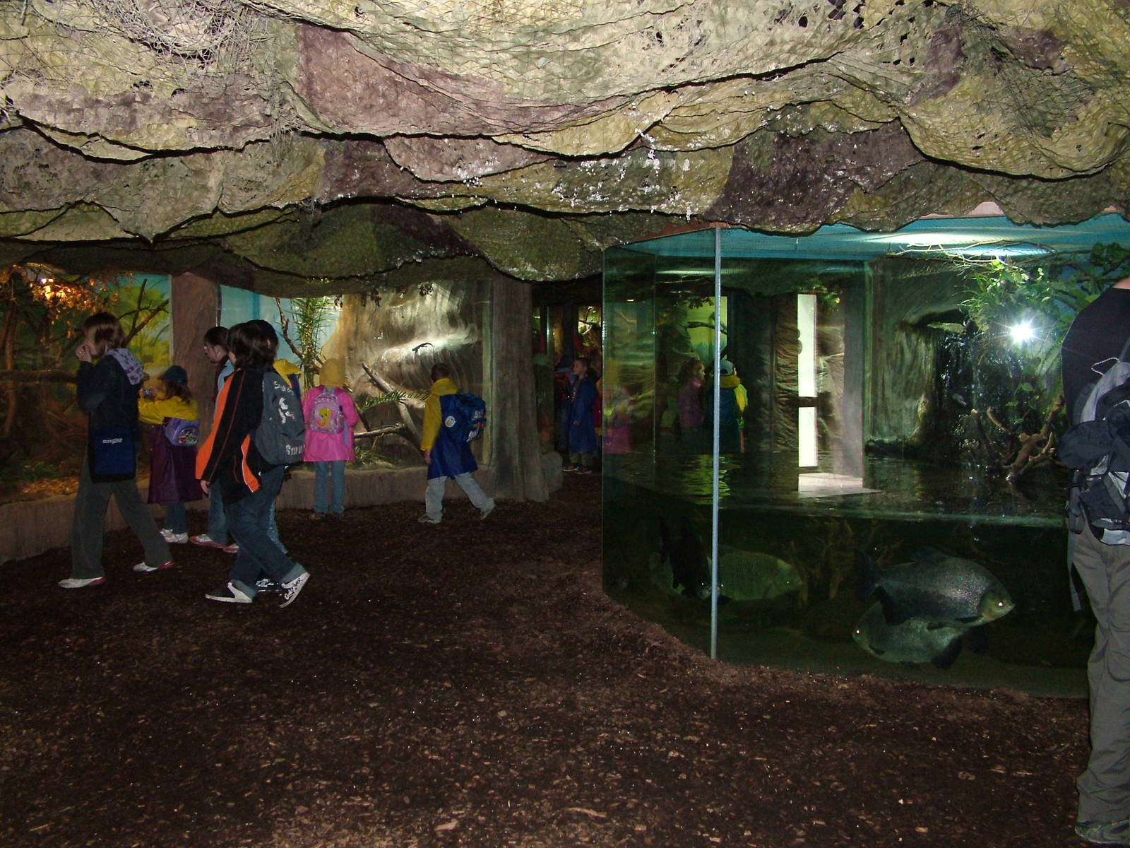 Tropical House interior at Brno, 27/05/10