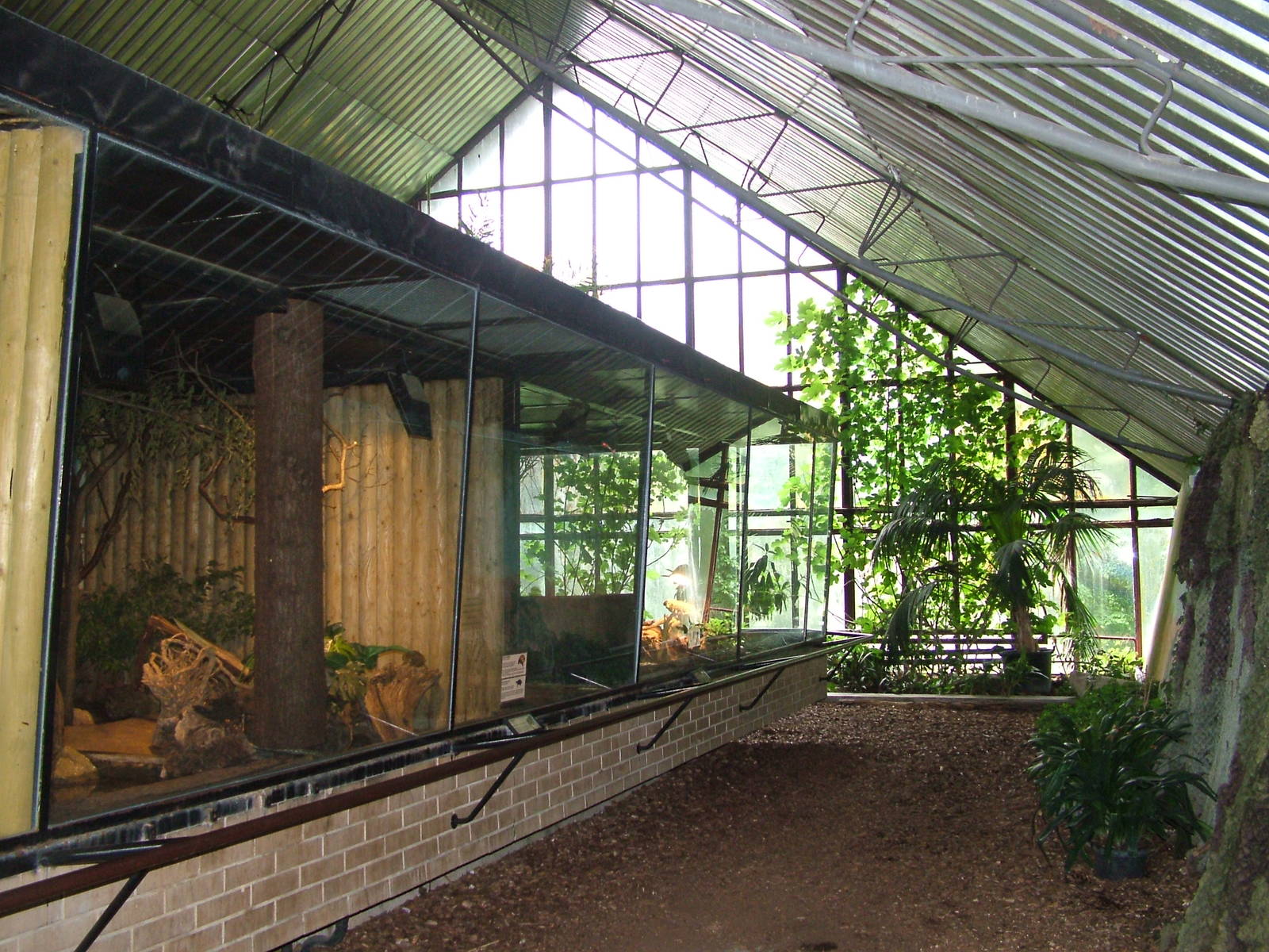 Tropical House interior at Brno, 27/05/10