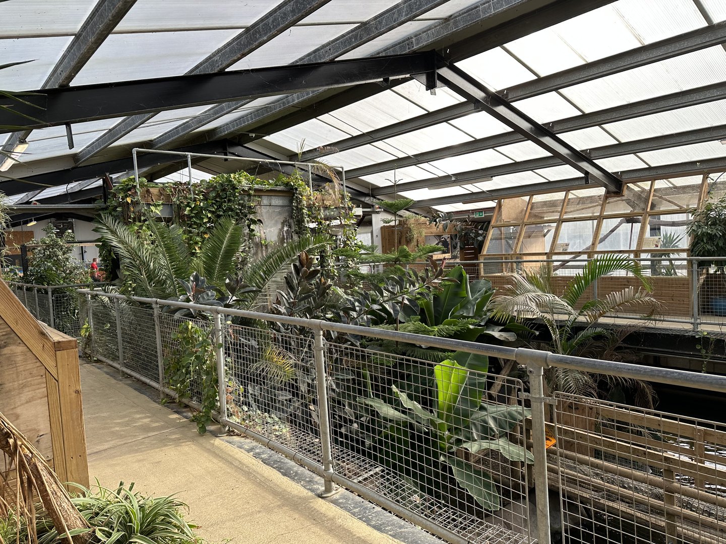 Tropical House Interior at Johnsons of Old Hurst (October 2023)