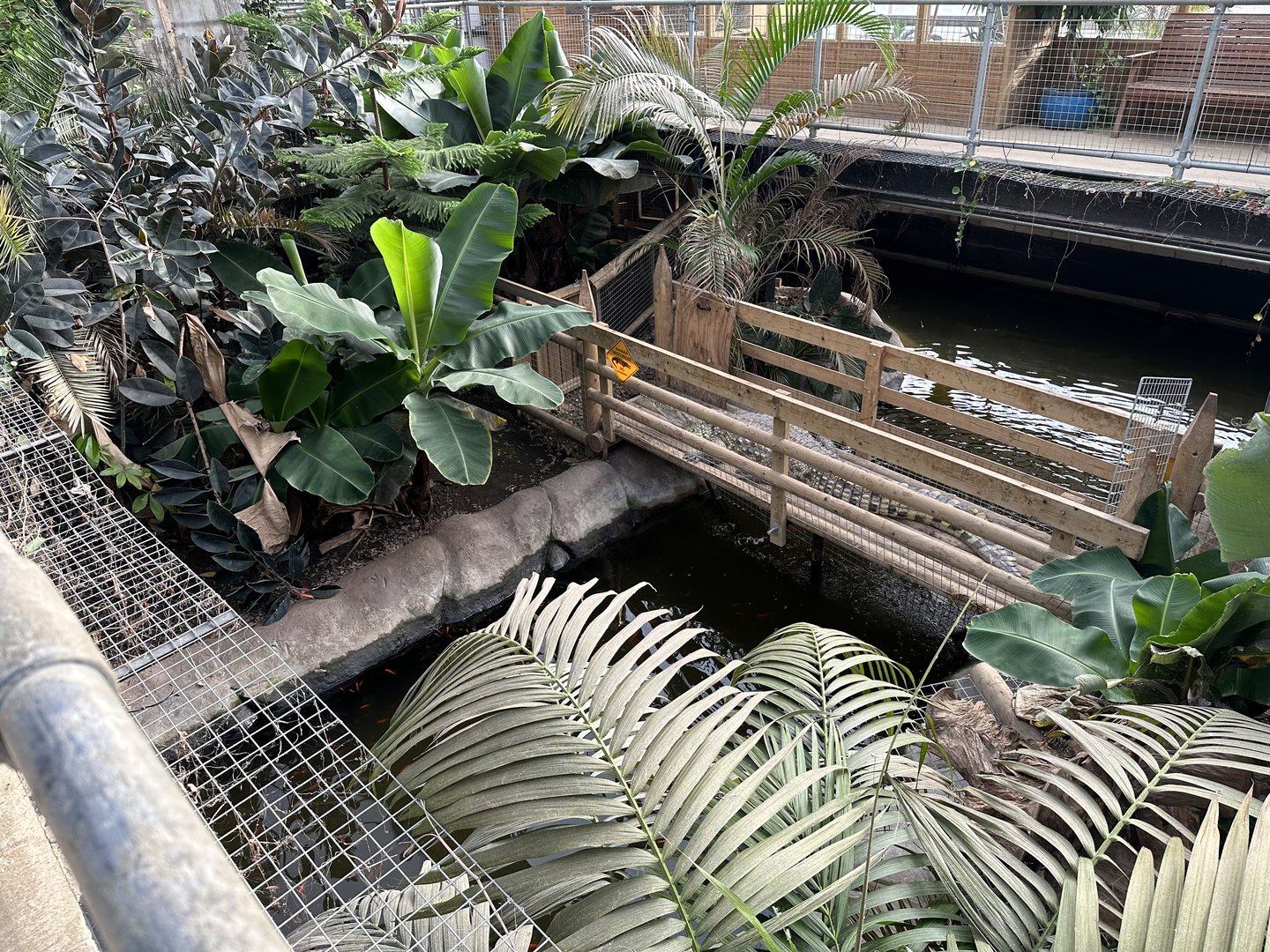 Tropical House Interior at Johnsons of Old Hurst (October 2023)