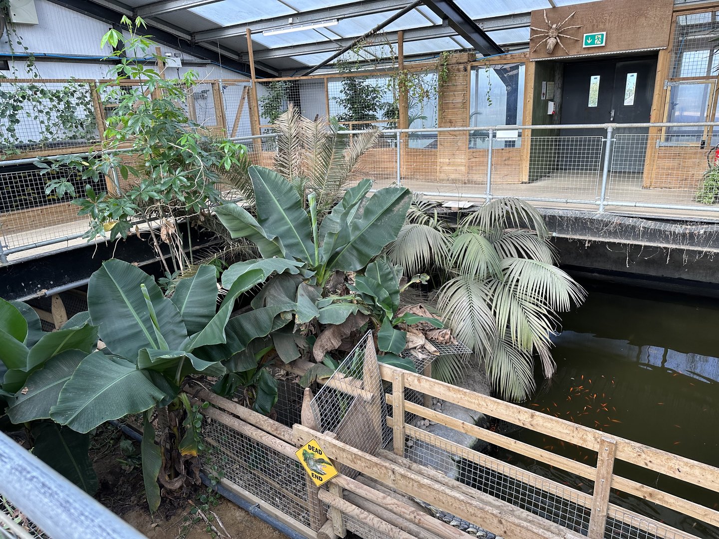 Tropical House Interior at Johnsons of Old Hurst (October 2023)