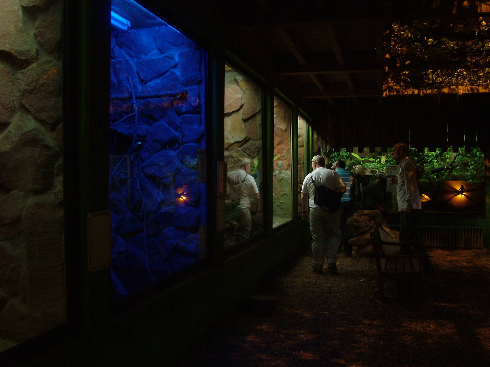 Tropical House Interior at Kaiserslautern, 01/09/10