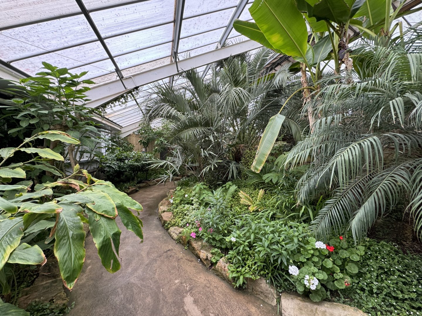 Tropical House Interior at Woodside Wildlife Park (May 2024)