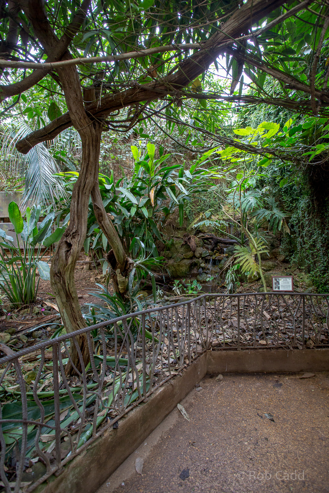 Tropical House (interior) : Cotswold WP : 16 Jan 2016