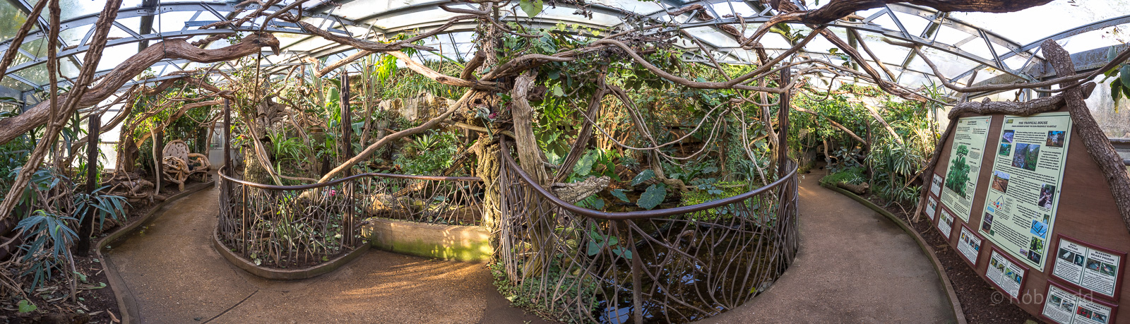 Tropical House (interior) : Cotswold WP : 16 Jan 2016