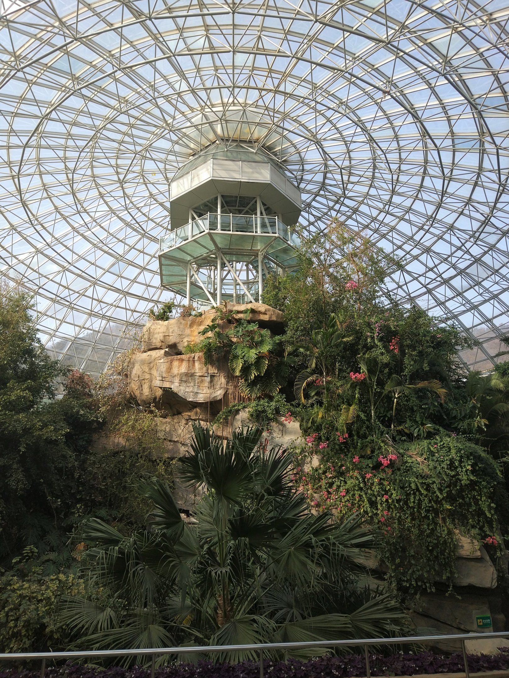 Tropical House Interior