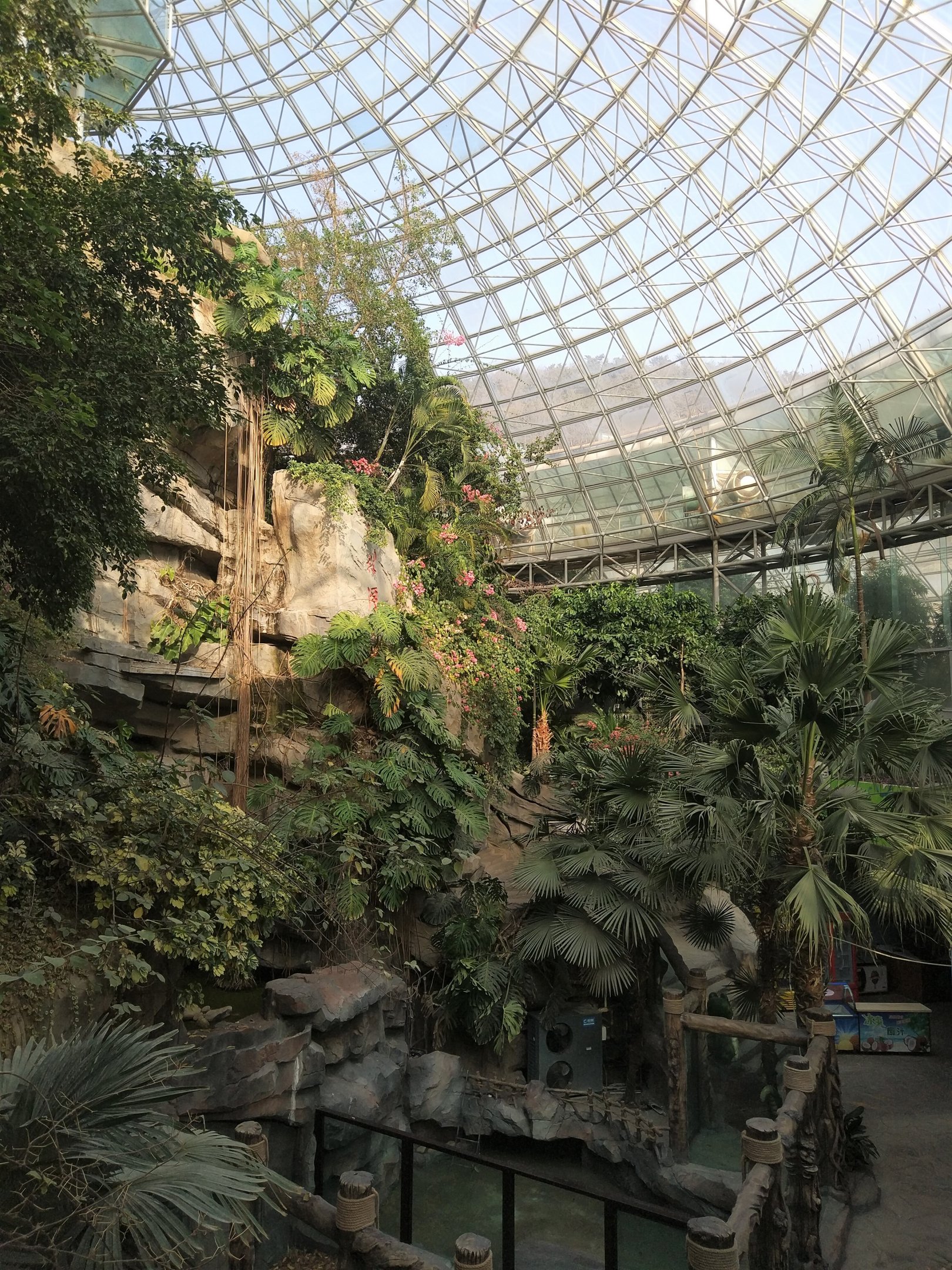 Tropical House Interior