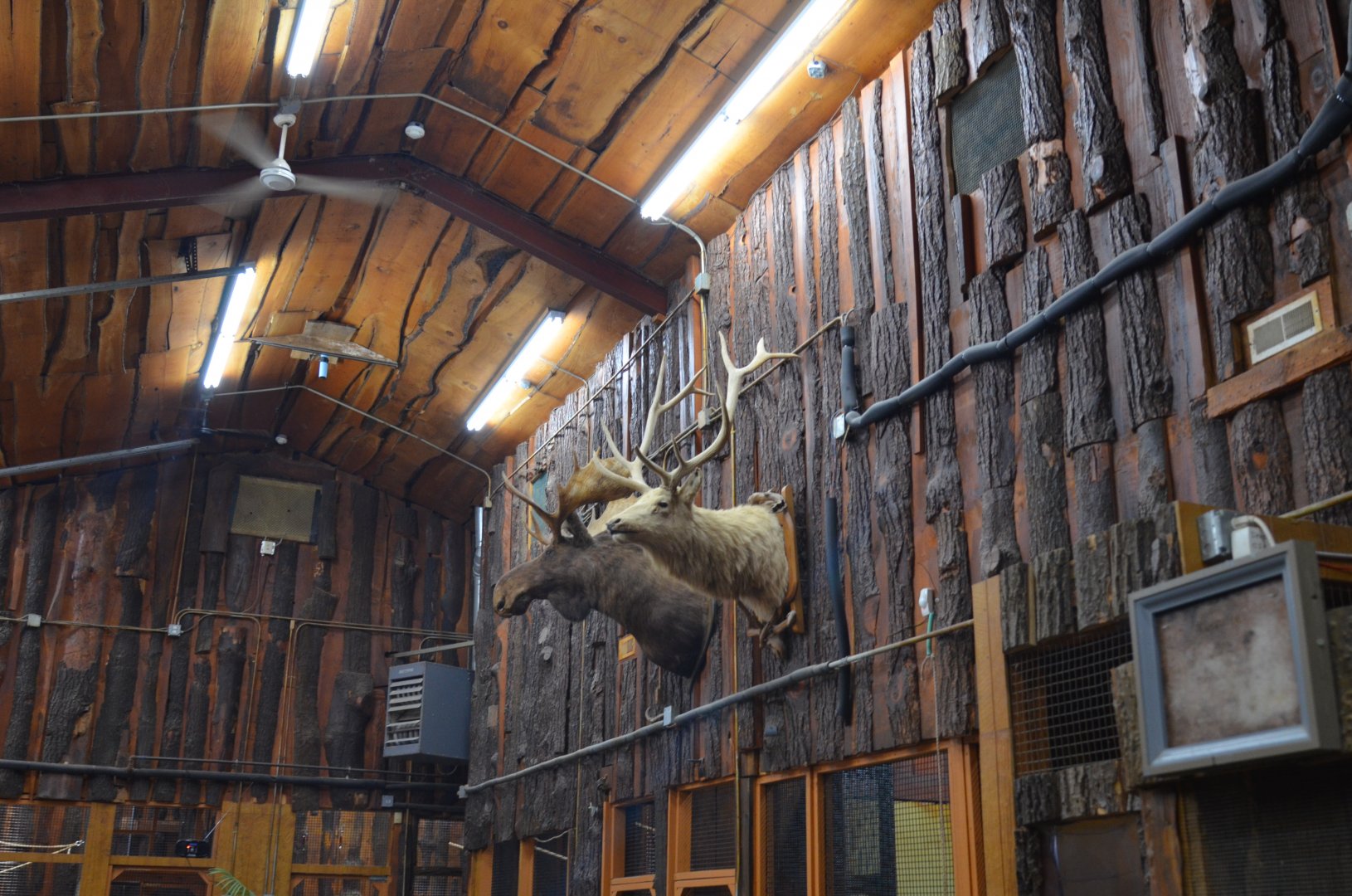 Tropical House Interior