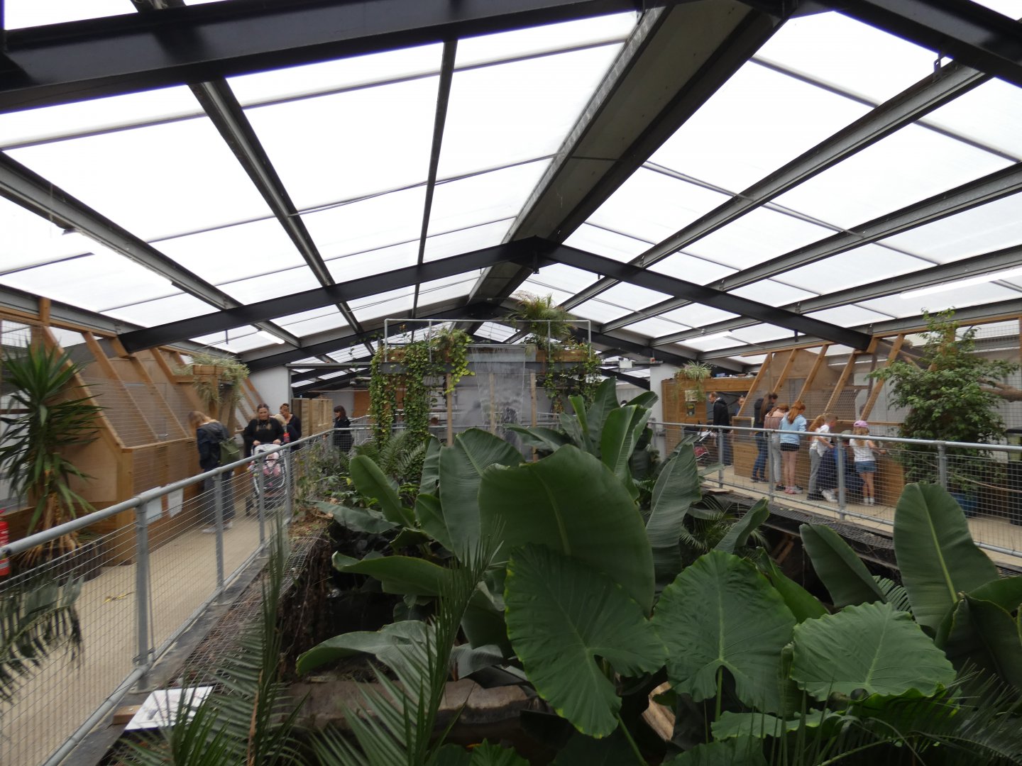 Tropical house (Johnson's of Old Hurst)