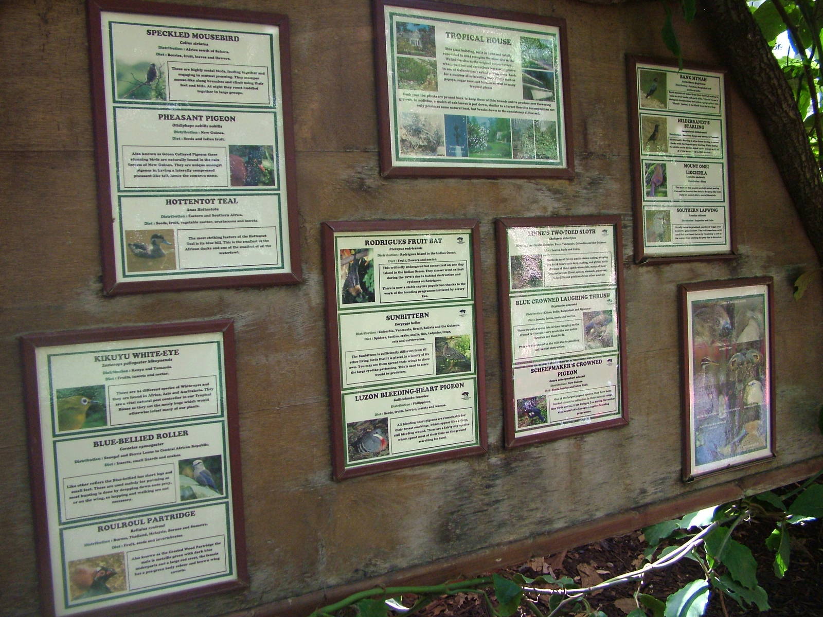 Tropical House labels at Cotswold WP 17/04/10