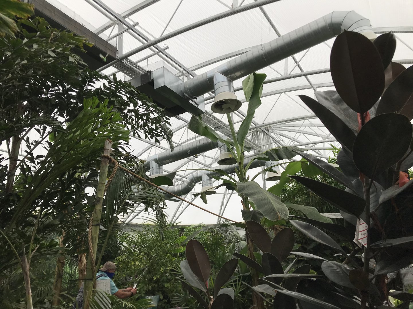 Tropical house @ Landmark forest adventure park