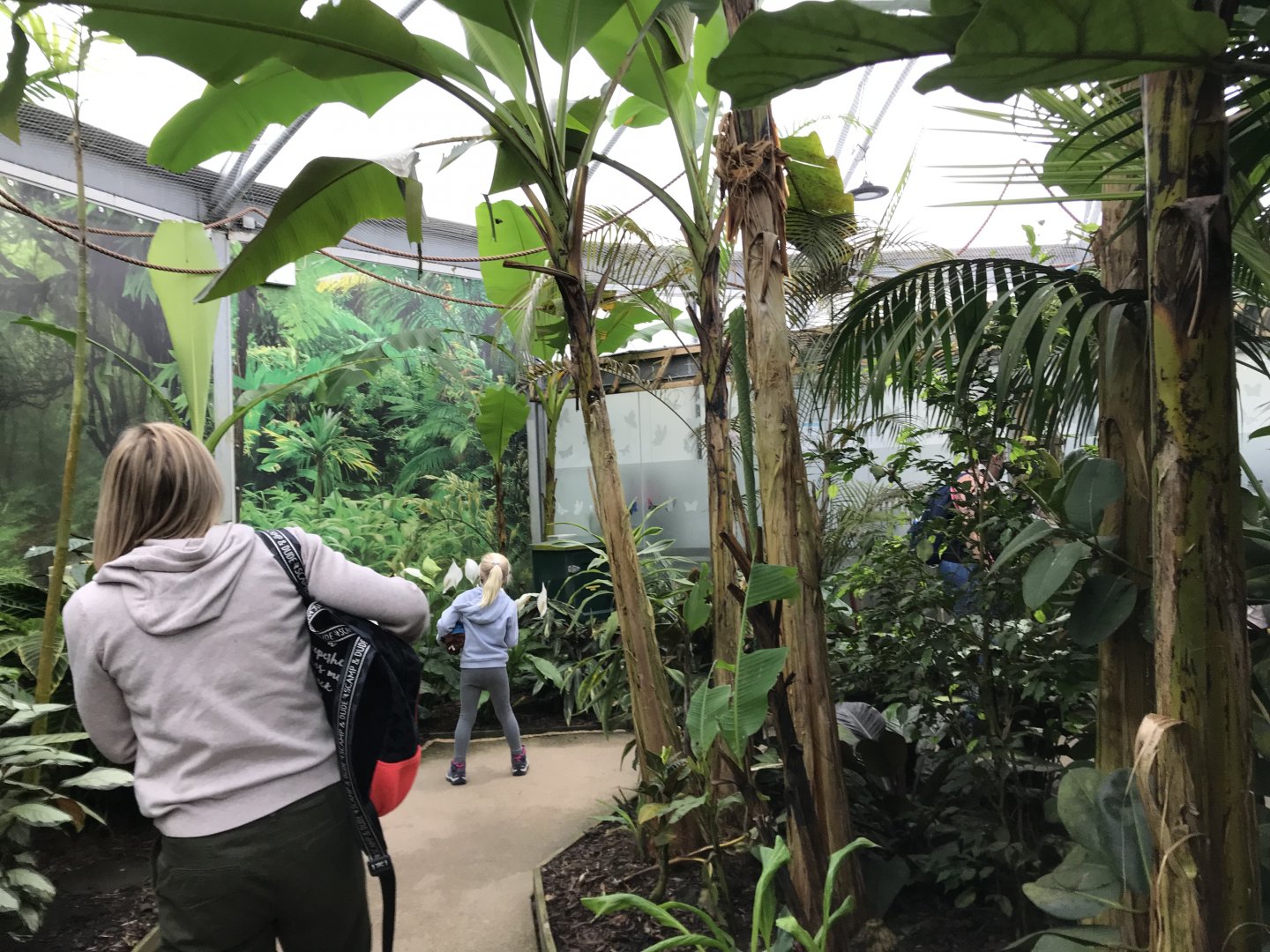 Tropical house @ Landmark forest adventure park