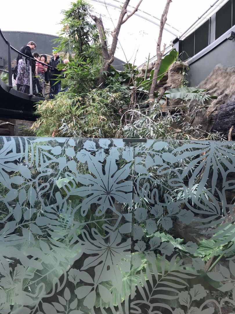 Tropical House - lower walkway towards sloth exhibit 110519