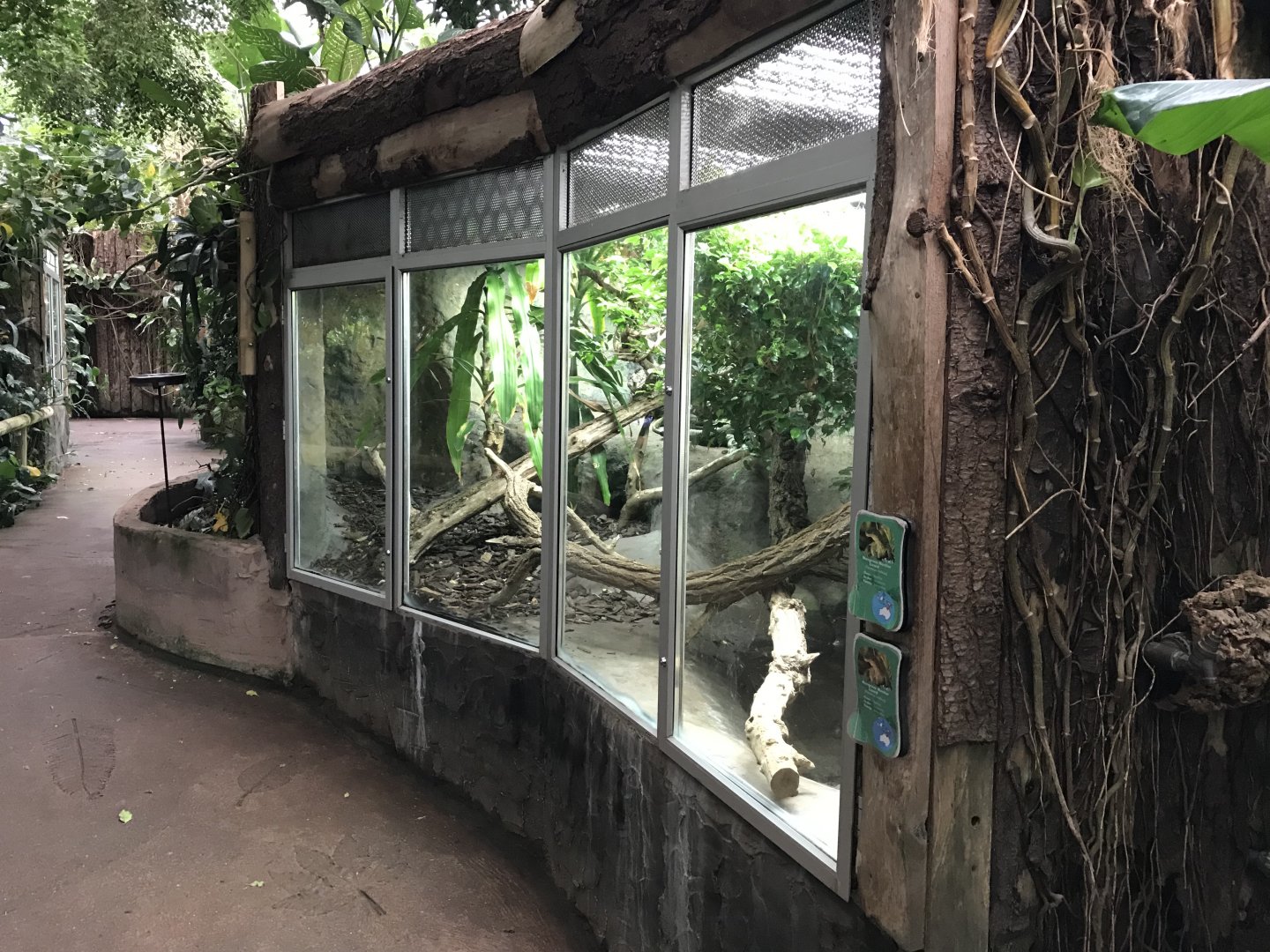 Tropical House - Mangrove monitor exhibit 050119