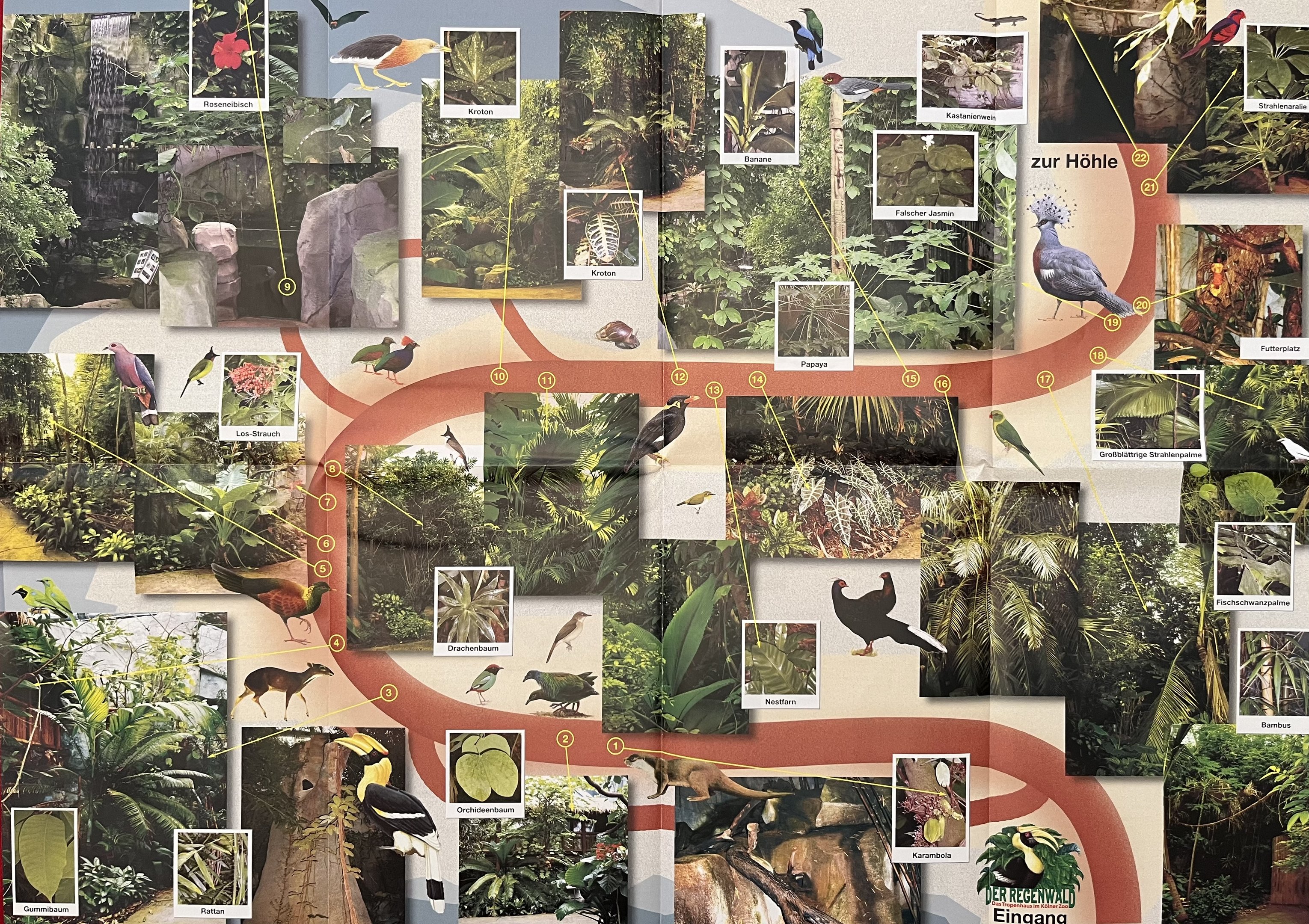 Tropical House Map - undated