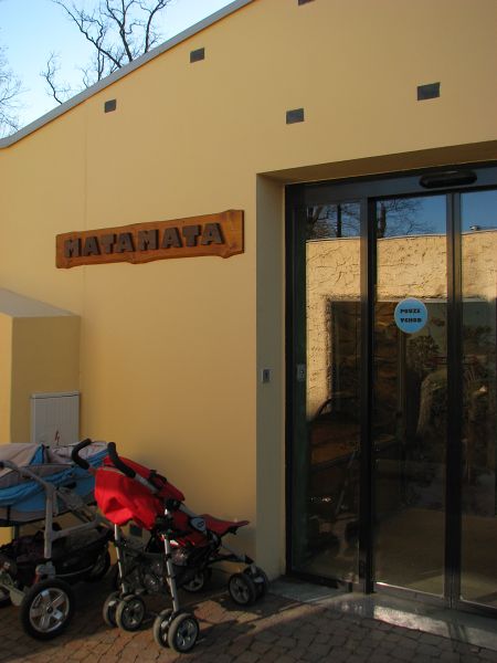 Tropical house Matamata