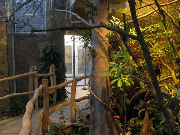 Tropical house Matamata