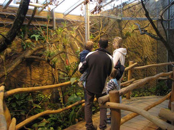 Tropical house Matamata