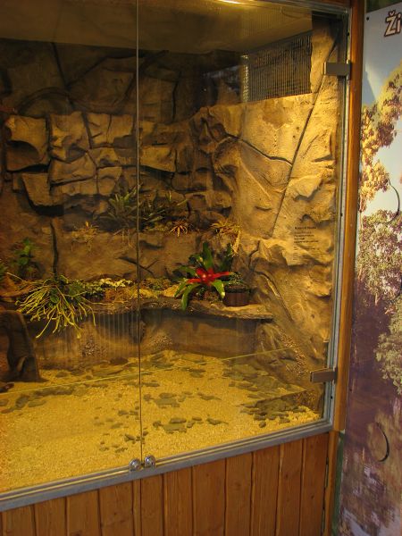 Tropical house Matamata