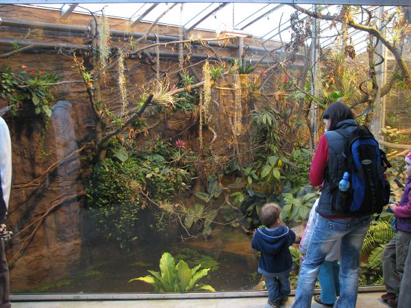 Tropical house Matamata