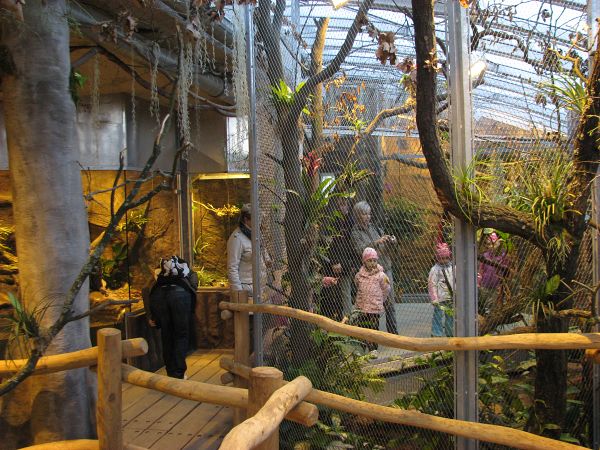 Tropical house Matamata