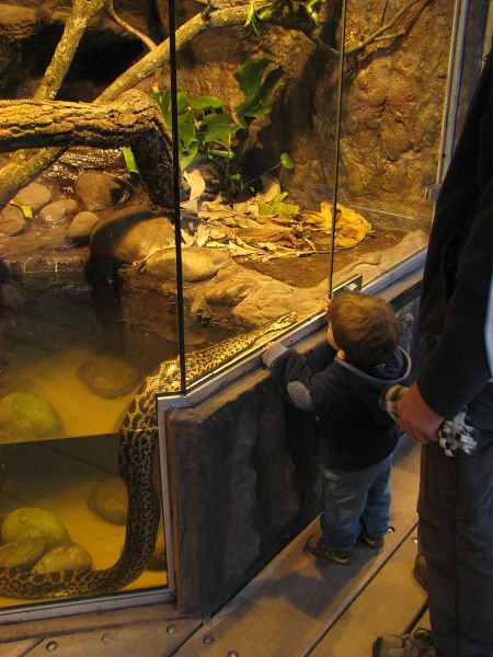 Tropical house Matamata