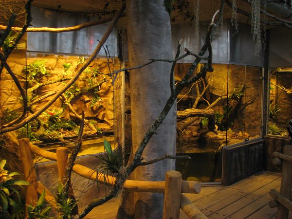 Tropical house Matamata