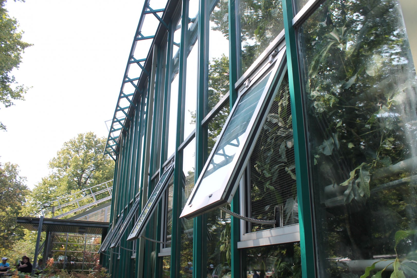 Tropical House Outside