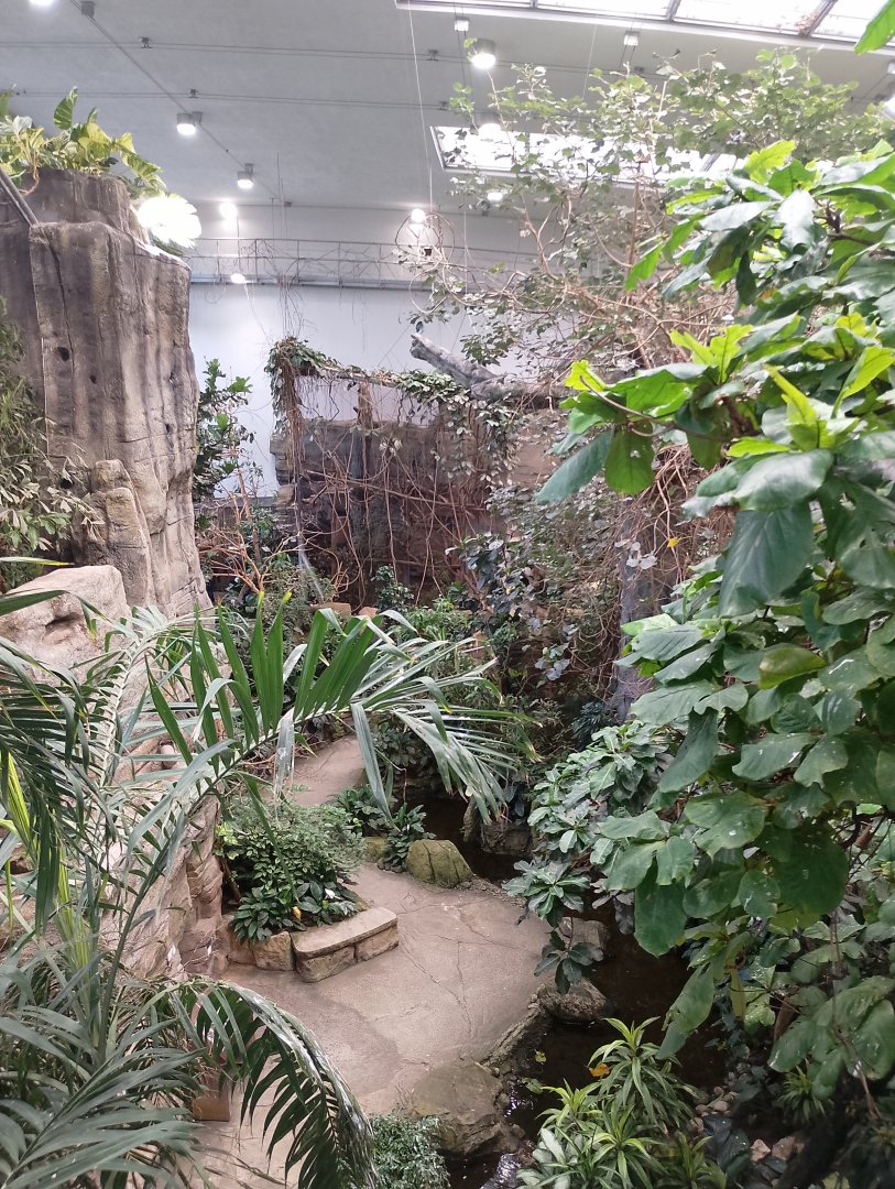 Tropical house overview