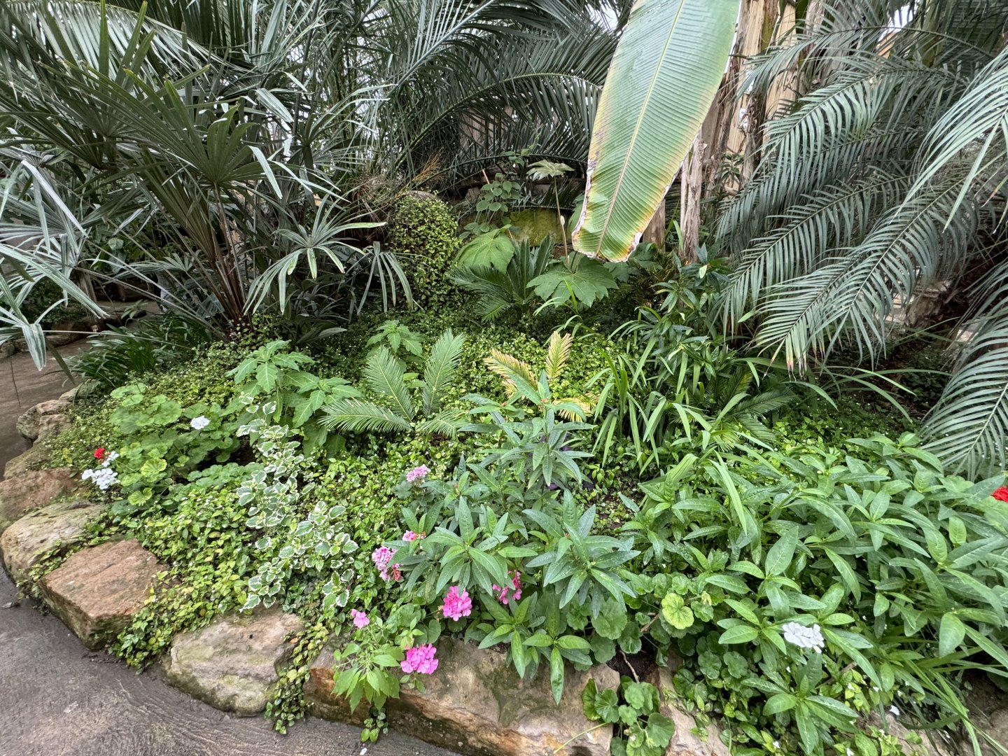 Tropical House Plants at Woodside Wildlife Park (May 2024)