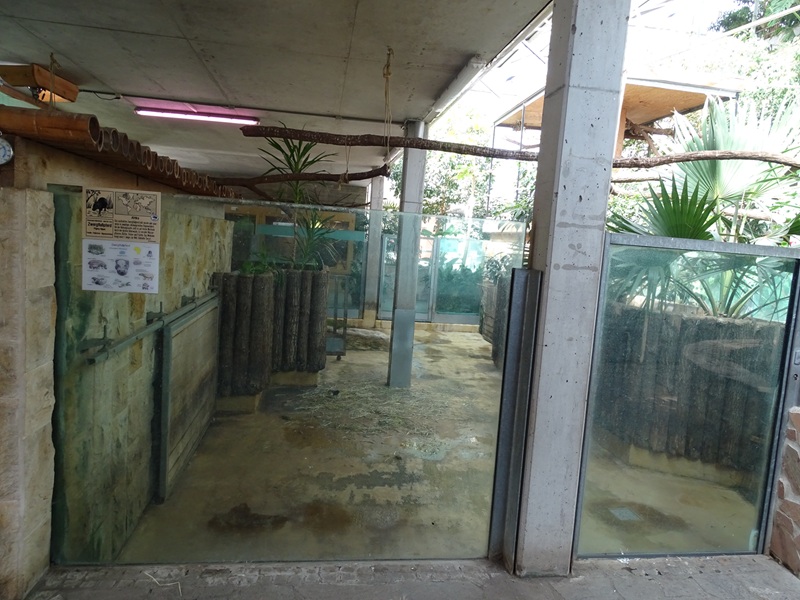 Tropical House - Pygmy hippo enclosure