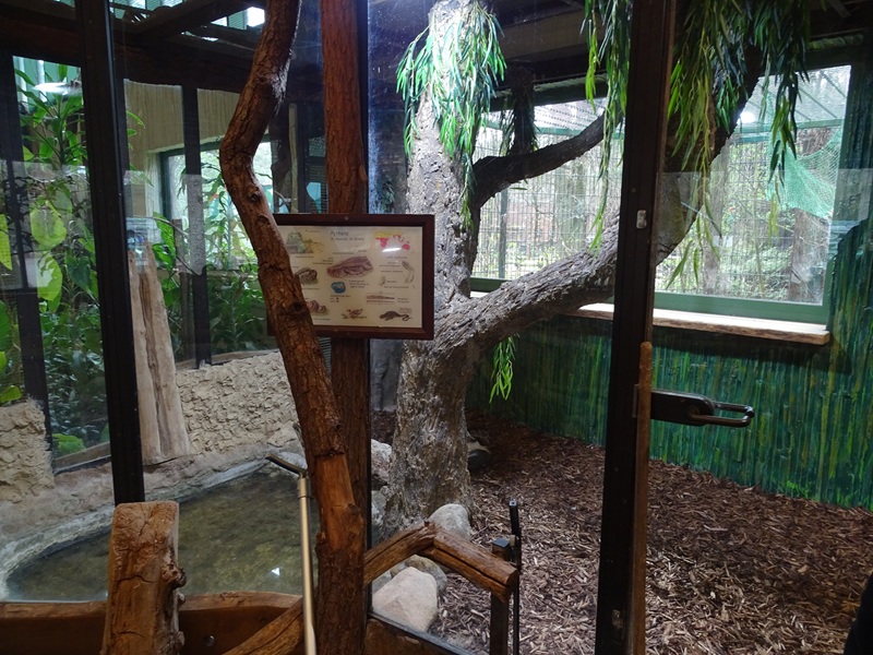 Tropical House: Python enclosure