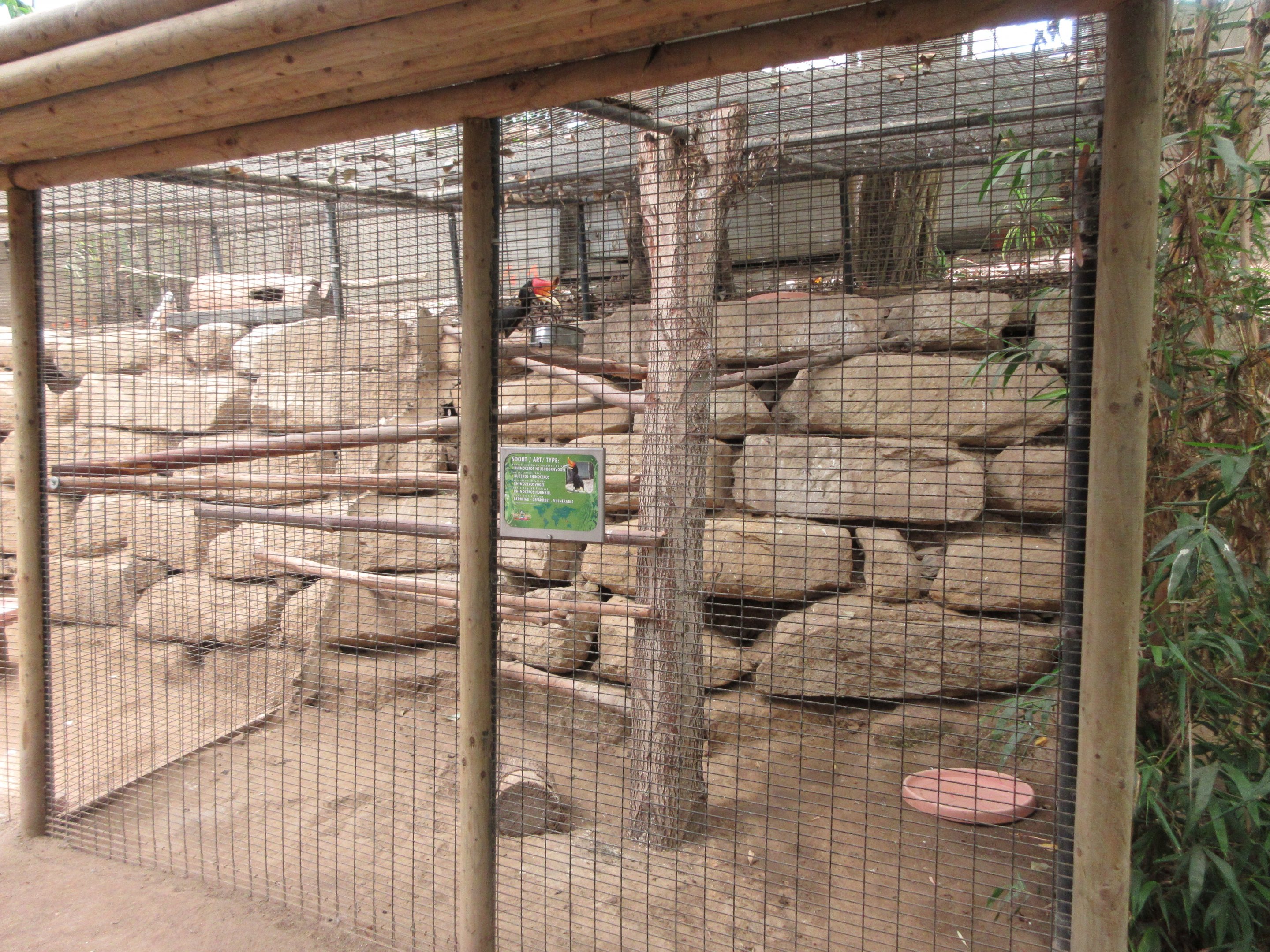 Tropical House - Rhinoceros Hornbill Exhibit