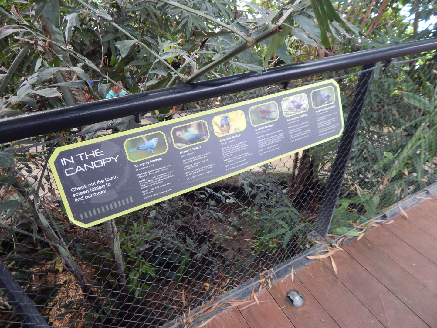 Tropical House signage 040822