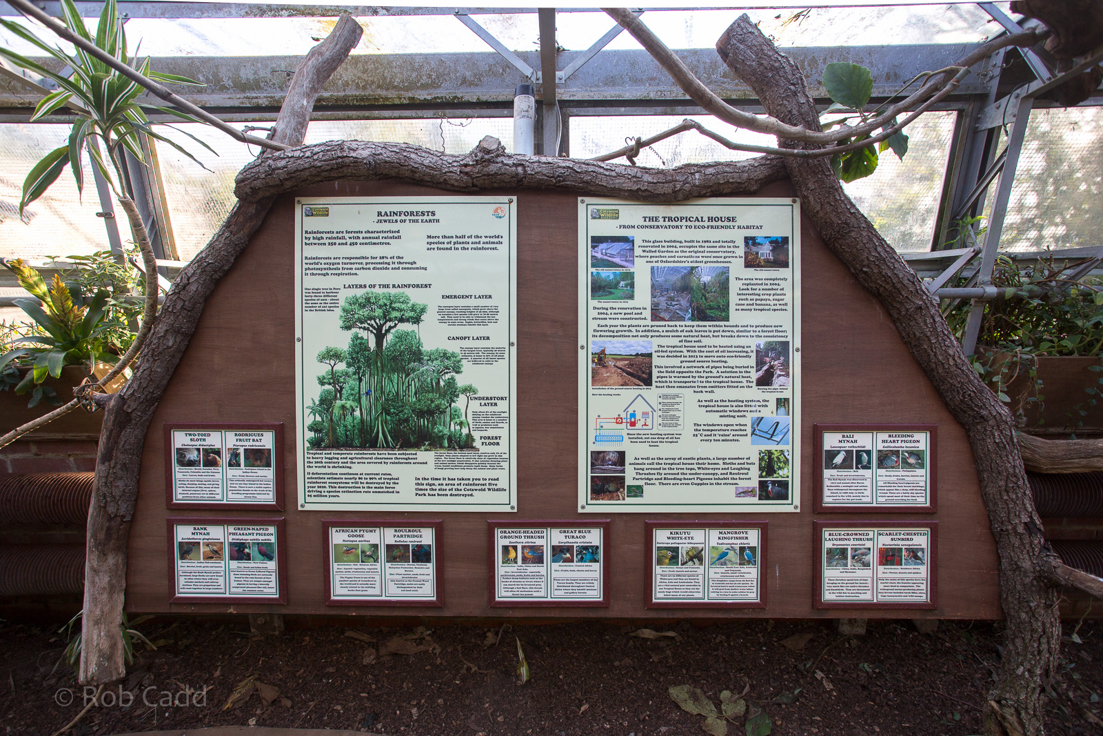 Tropical House (signage) : Cotswold WP : 16 Jan 2016