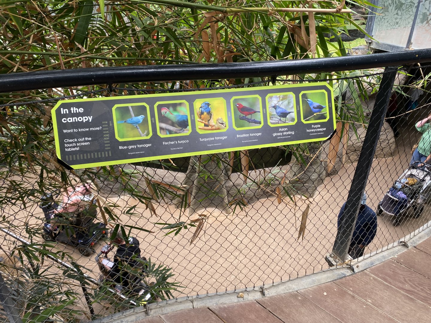 Tropical House signage example 150725