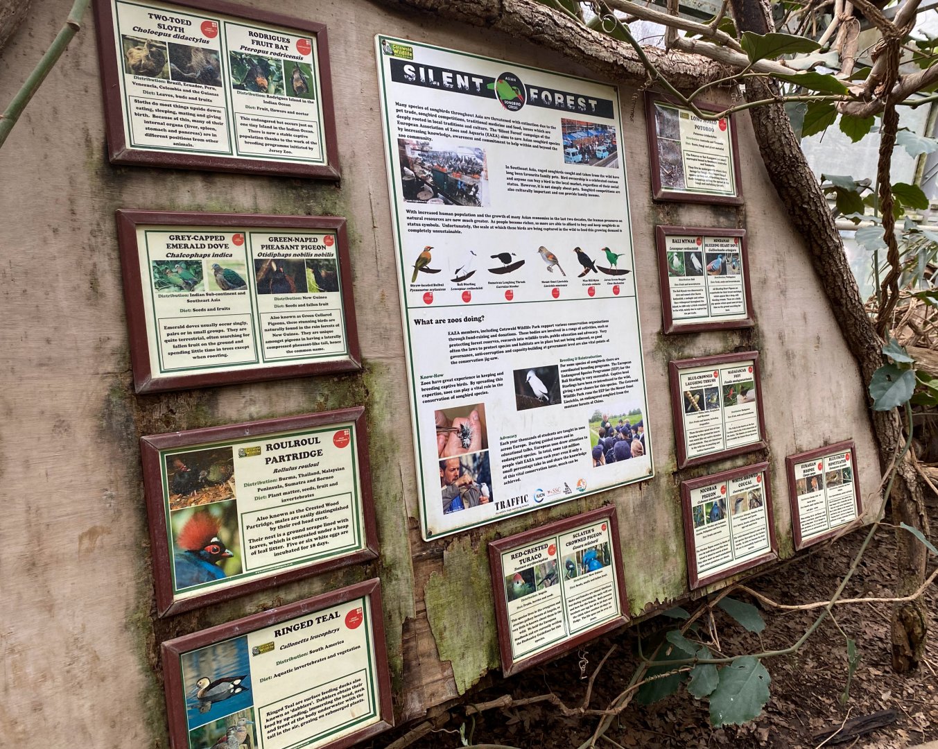 Tropical House signage, March 2025, CWP, UK