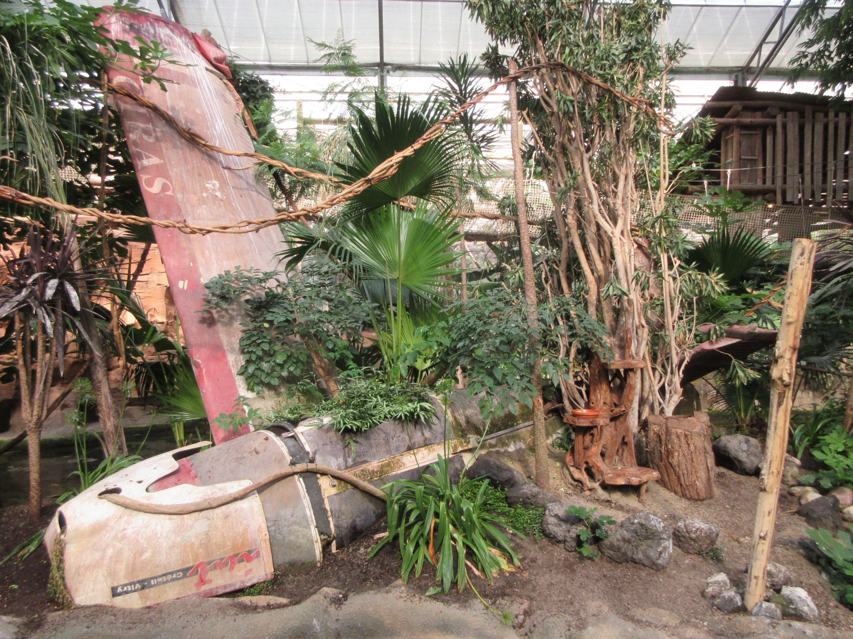 Tropical House - small crashed plane